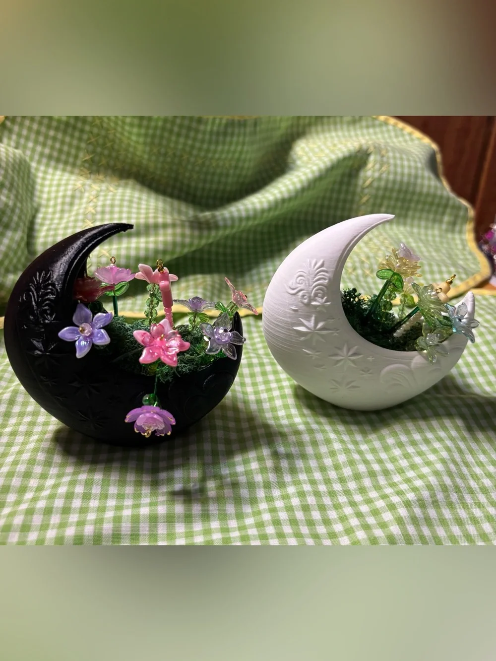 Crescent Moon Forever plants set of two - Black and White Set